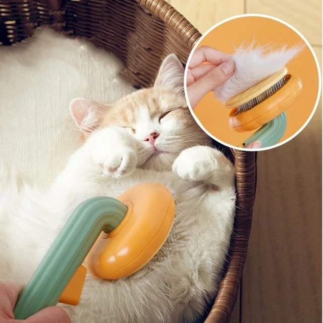 Pet Brush Pumpkin - Pente Macio